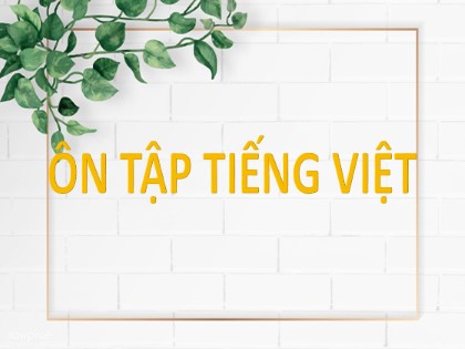 Bài giảng Ngữ văn Khối 11 - Ôn tập phần Tiếng Việt