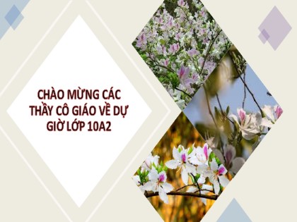 Bài giảng Ngữ văn Lớp 10 - Văn bản: Đại cáo bình ngô