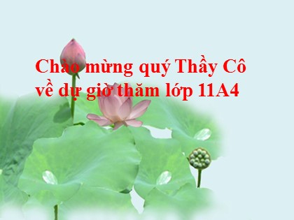 Bài giảng Ngữ văn Lớp 11 - Tiết 25: Thực hành về nghĩa của từ trong sử dụng