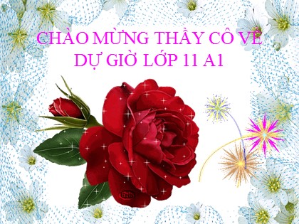 Bài giảng Ngữ văn Lớp 12 - Văn bản: Chí phèo