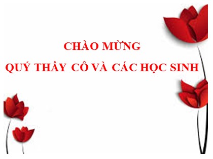 Bài giảng Ngữ văn 11 - Bài: Đặc điểm loại hình của tiếng Việt