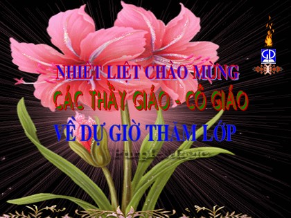 Bài giảng Ngữ văn Lớp 6 - Tiết 104: Cô Tô