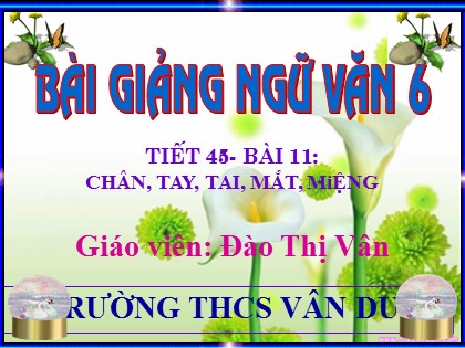 Bài giảng Ngữ văn Lớp 6 - Tiết 45: Chân, Tay, Tai, Mắt, Miệng - Đào Thị Vân