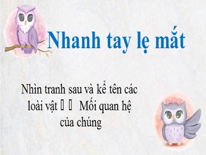 Bài giảng Ngữ văn Lớp 8 - Bài: Cấp độ khái quát nghĩa của từ