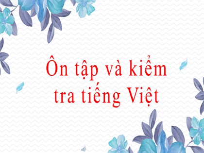 Bài giảng Ngữ văn Lớp 8 - Bài: Ôn tập và kiểm tra Tiếng Việt - Nguyễn Thị Lệ Giang
