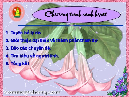 Bài giảng Ngữ văn Lớp 9 - Chuyên đề: Người lính