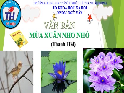 Bài giảng Ngữ văn Lớp 9 - Văn bản: Mùa xuân nho nhỏ - Trường THCS Tô Hiệu