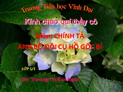 Bài giảng Chính tả Lớp 5 - Tiết 4: Anh bộ đội Cụ Hồ gốc Bỉ - Trương Thị Kim Ngân