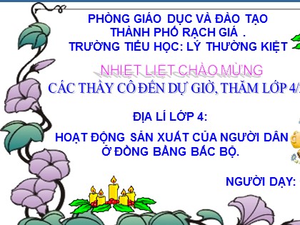 Bài giảng Địa lý Lớp 4 - Tiết 14: Hoạt động sản xuất của người dân ở đồng bằng Bắc Bộ - Đỗ Thị Liễu