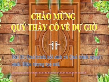 Bài giảng Địa lý Lớp 6 (Sách Cánh diều) - Bài 10: Quá trình nội sinh và Quá trình ngoại sinh. Hiện tượng tạo núi