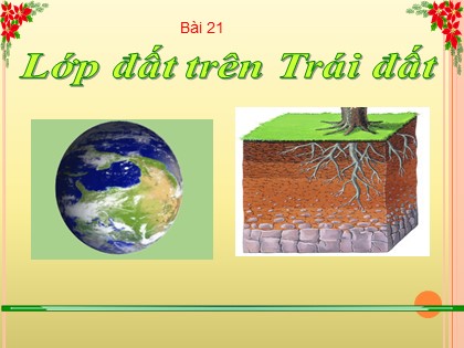 Bài giảng Địa lý Lớp 6 (Sách Cánh diều) - Bài 21: Lớp đất trên Trái đất