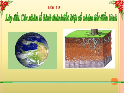 Bài giảng Địa lý Lớp 6 (Sách Chân trời sáng tạo) - Bài 19: Lớp đất. Các nhân tố hình thành đất. Một số nhóm đất điển hình