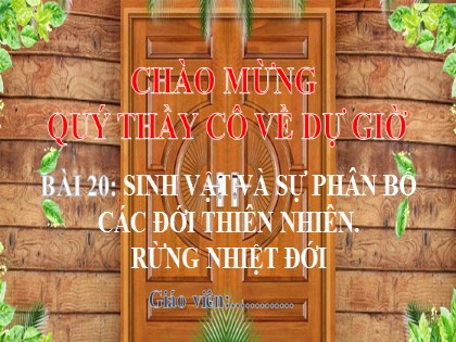 Bài giảng Địa lý Lớp 6 (Sách Chân trời sáng tạo) - Bài 20: Sinh vật và sự phân bố các đới thiên nhiên. Rừng nhiệt đới