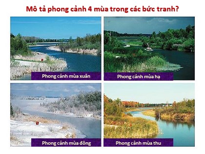 Bài giảng Địa lý Lớp 6 (Sách Kết nối tri thức) - Bài 8: Chuyển động của Trái Đất quay quanh Mặt Trời và hệ quả