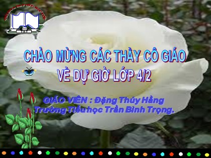 Bài giảng Khoa học Lớp 4 - Bài 10: Ăn nhiều rau và quả chín. Sử dụng thực phẩm sạch và an toàn - Đặng Thúy Hằng