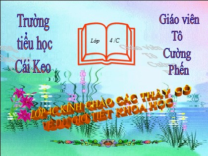 Bài giảng Khoa học Lớp 4 - Bài 47: Ánh sáng cần cho sự sống