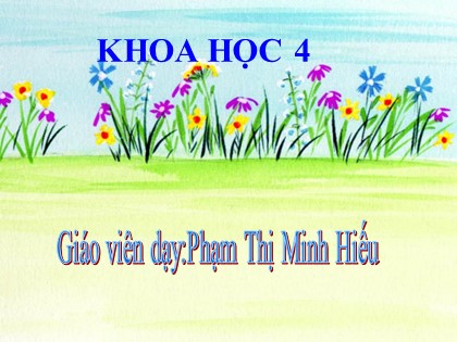 Bài giảng Khoa học Lớp 4 - Tiết 13: Phòng bệnh béo phì - Phạm Thị Minh Hiếu