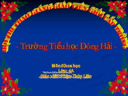 Bài giảng Khoa học Lớp 4 - Tiết 38: Gió nhẹ, gió mạnh. Phòng chống bão - Phạm Thùy Liên