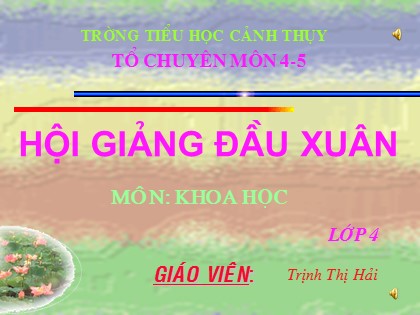 Bài giảng Khoa học Lớp 4 - Tiết 41: Âm thanh - Trịnh Thị Hải