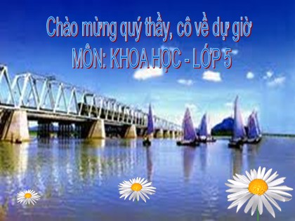 Bài giảng Khoa học Lớp 5 - Bài 26: Đá vôi