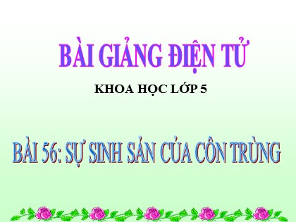 Bài giảng Khoa học Lớp 5 - Bài 56: Sự sinh sản của côn trùng