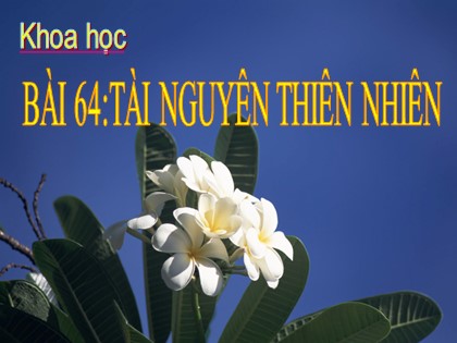 Bài giảng Khoa học Lớp 5 - Bài 64: Tài nguyên thiên nhiên