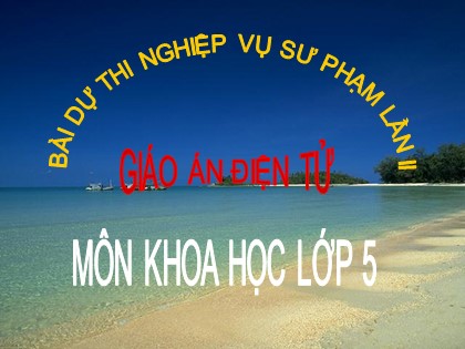 Bài giảng Khoa học Lớp 5 - Bài: Sự biến đổi hoá học - Vũ Thu Hà