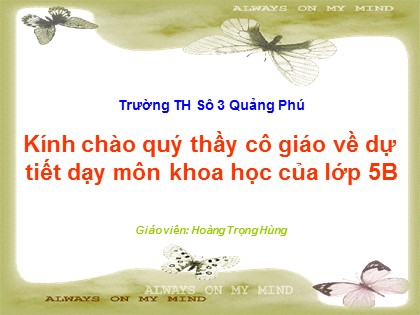 Bài giảng Khoa học Lớp 5 - Tiết 18: Phòng tránh bị xâm hại - Hoàng Trọng Hùng