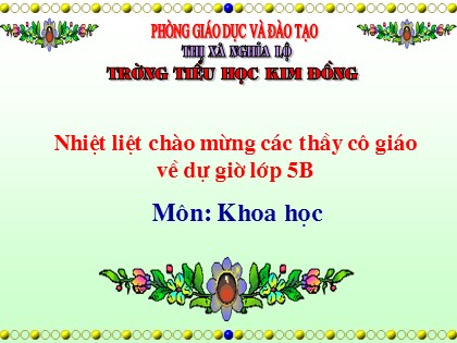 Bài giảng Khoa học Lớp 5 - Tiết 19: Thông tin về an toàn giao thông