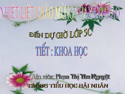 Bài giảng Khoa học Lớp 5 - Tiết 22: Tre, mây, song - Phạm Thị Thu Nguyệt