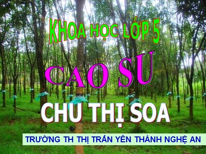 Bài giảng Khoa học Lớp 5 - Tiết 30: Cao su - Chu Thị Soa