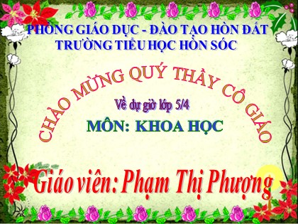 Bài giảng Khoa học Lớp 5 - Tiết 31: Chất dẻo - Phạm Thị Phượng