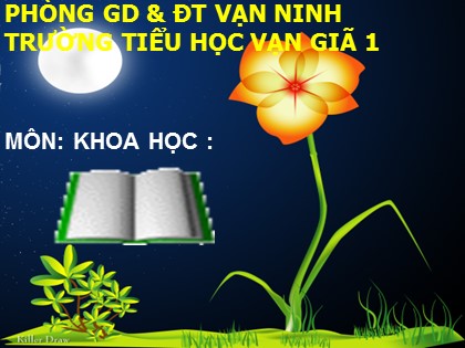 Bài giảng Khoa học Lớp 5 - Tiết 40: Năng lượng - Nguyễn Thị Ngân