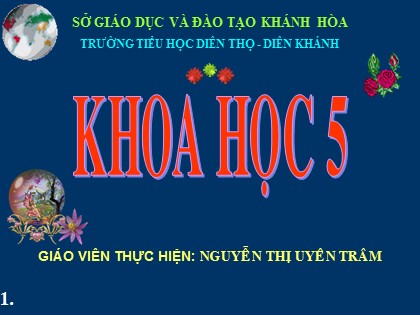 Bài giảng Khoa học Lớp 5 - Tiết 58: Sự sinh sản và nuôi con của chim - Nguyễn Thị Uyên Trâm