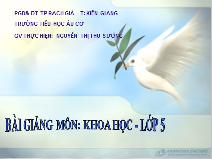 Bài giảng Khoa học Lớp 5 - Tiết 67: Tác động của con người đến môi trường không khí và nước - Nguyễn Thị Thu Sương