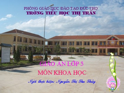 Bài giảng Khoa học Lớp 5 - Tiết 68: Một số biện pháp bảo vệ môi trường - Nguyễn Thị Thu Thủy