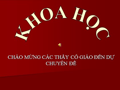 Bài giảng Khoa học Lớp 5 - Tiết 7: Từ tuổi vị thanh niên đến tuổi già