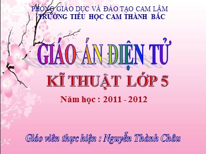 Bài giảng Kĩ thuật Lớp 5 - Tiết 19: Nuôi dưỡng gà - Nguyễn Thành Châu