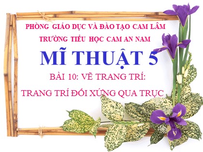 Bài giảng Mĩ thuật Lớp 5 - Bài 10: Vẽ trang trí đối xứng qua trục - Trường TH Cam An Nam