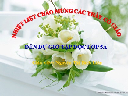 Bài giảng Tập đọc Lớp 5 - Tiết 50: Cửa sông - Nguyên Thị Bích Liên