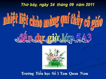 Bài giảng Toán Lớp 5 - Bài 27: Héc-ta - Trường Tiểu học Số 1 Tam Quan Nam