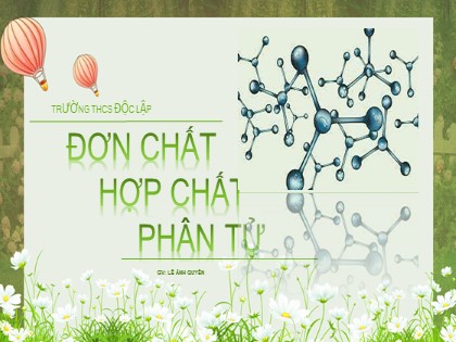 Bài giảng Hóa học Lớp 8 - Bài 6: Đơn chất - Hợp chất - Phân tử - Lê Ánh Quyên