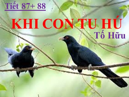 Bài giảng Ngữ văn Khối 8 - Tiết 87+ 88: Khi con tu hú