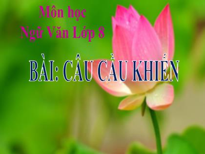 Bài giảng Ngữ Văn 8 - Bài: Câu cầu khiến