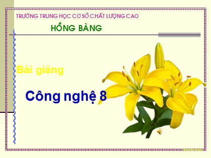 Bài giảng Công nghệ 8 - Bài 25: Mối ghép cố định. Mối ghép không tháo được