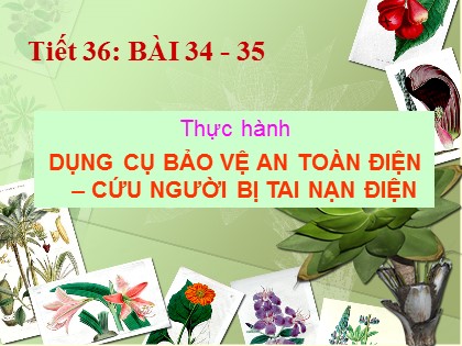 Bài giảng Công nghệ Lớp 8 - Tiết 36: Thực hành dụng cụ bảo vệ an toàn điện - Cứu người bị tai nạn điện