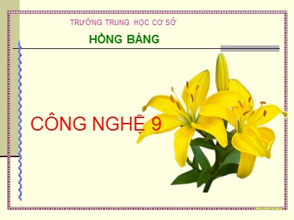 Bài giảng Công nghệ Lớp 9 - Nghề điện dân dụng - Bài 2: Vật liệu điện dùng trong lắp đặt mạng điện trong nhà - Trường THCS Hồng Bàng