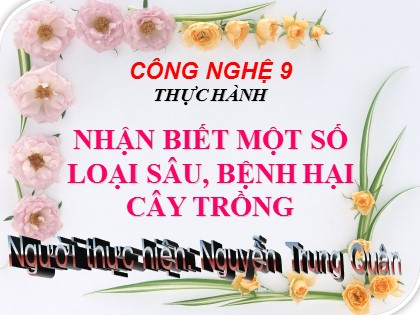 Bài giảng Công nghệ Lớp 9 - Nghề trồng trọt - Tiết 21: Thực hành Nhận biết một số loại sâu, bệnh hại cây trồng - Nguyễn Trung Quân