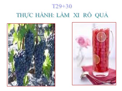 Bài giảng Công nghệ Lớp 9 - Nghề trồng trọt - Tiết 29+30: Thực hành làm si-rô quả