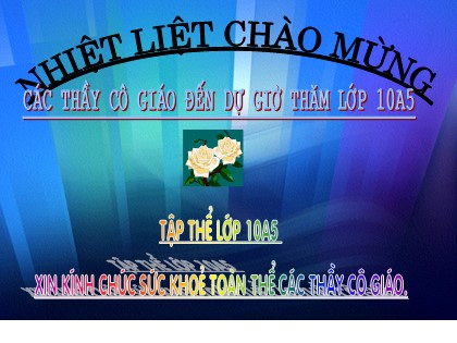 Bài giảng Đại số Lớp 10 - Tiết 24: Đại cương về phương trình - Đoàn Thị Kim Oanh
